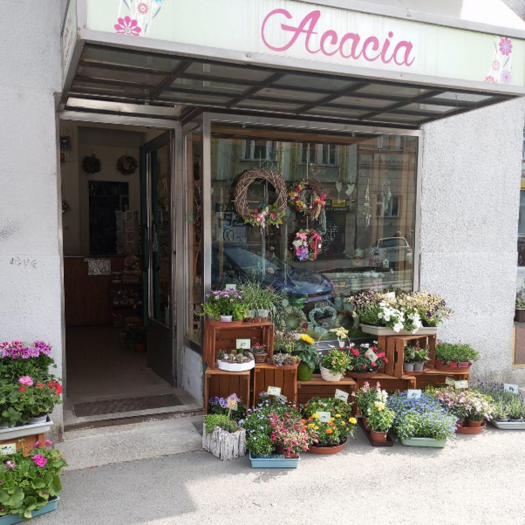 Květinářství Acacia: Kreativita a poctivá práce v každém květu