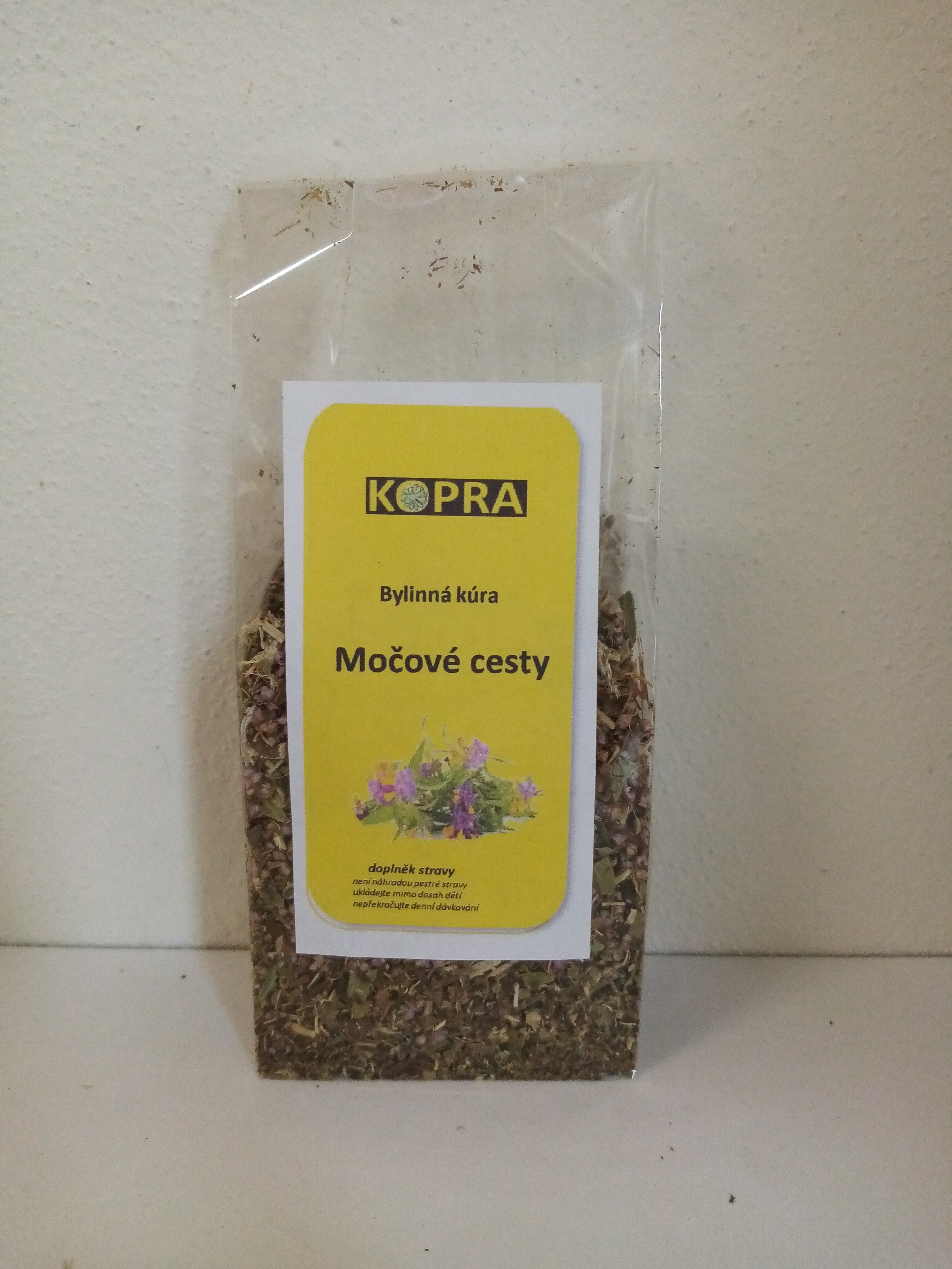 Močové cesty